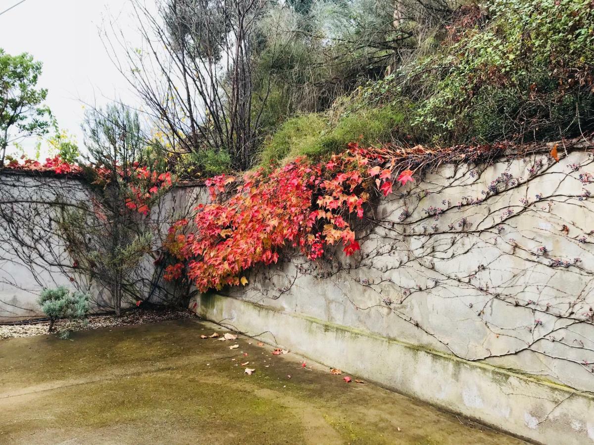 Villa Puerta De Sobrarbe - Torreciudad à El Grao de Castellón Extérieur photo